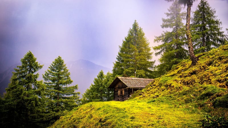 Rustic Cabins